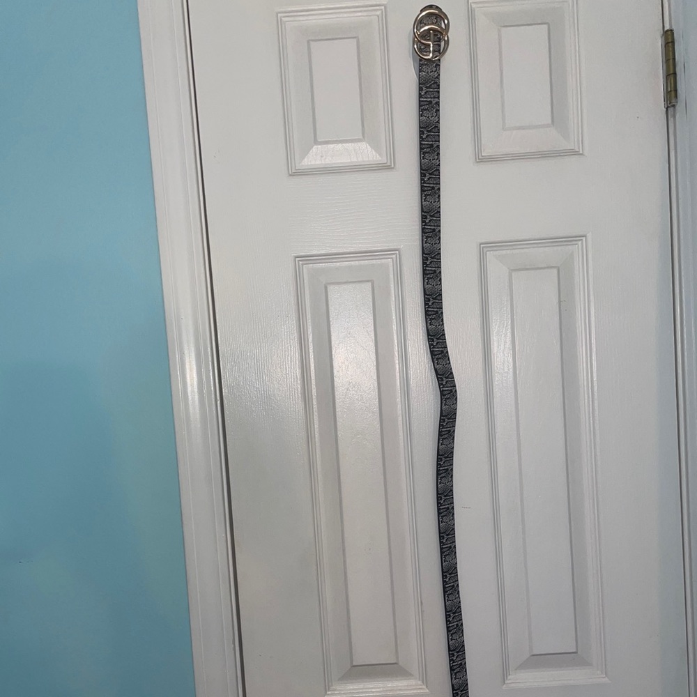 Fashion belt